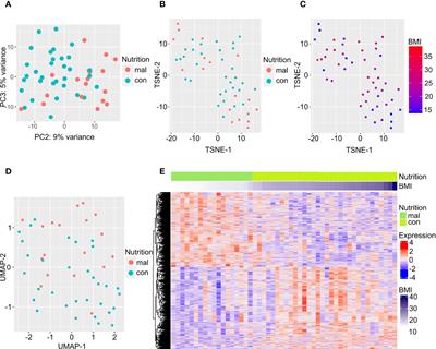 Malnutrition leads to increased inflammation and expression of tuberculosis risk signatures in recently exposed household contacts of pulmonary tuberculosis